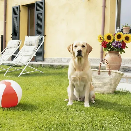 Apartman Il Giardino Di Ambra *